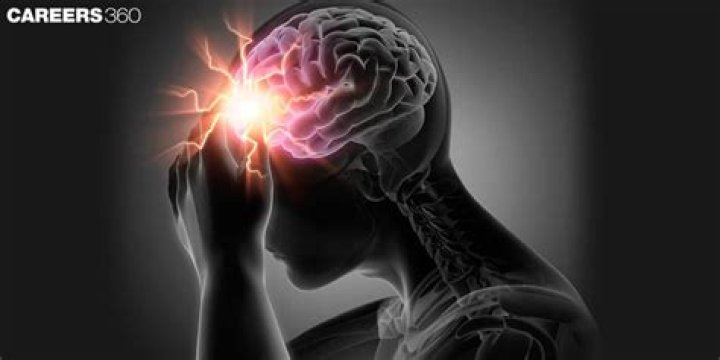 Does brain feel pain?