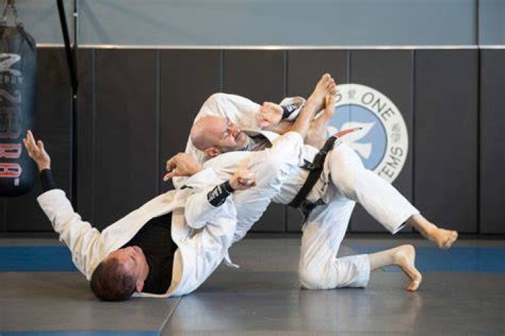 Does Brazilian Jiu Jitsu involve punching?