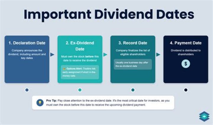 Does Chewy pay a dividend?