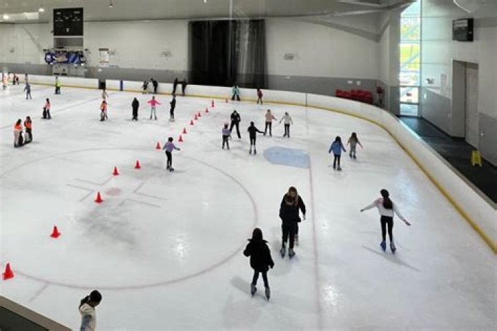 Does Chicago still have ice skating?