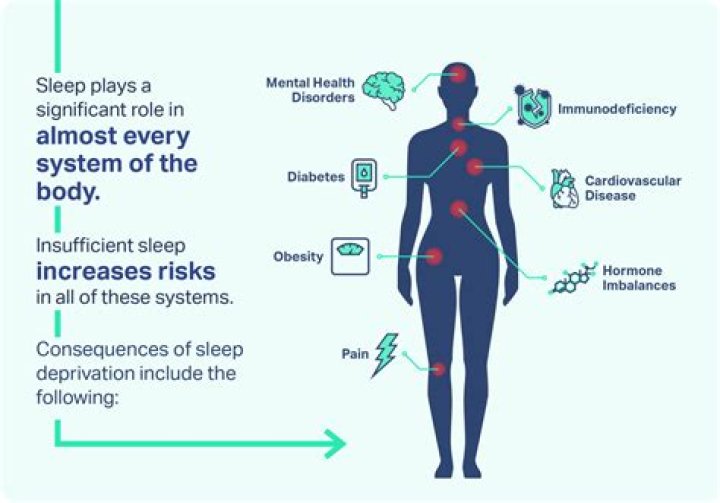 Does chronic fatigue syndrome affect the immune system?
