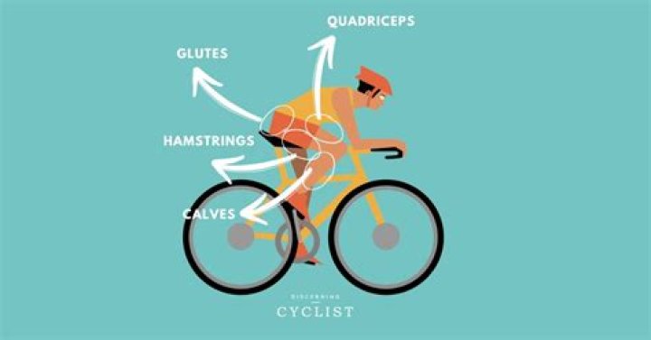 Does cycling tone your stomach?