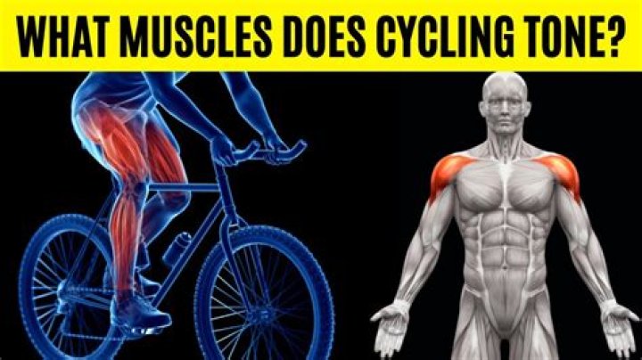 Does cycling tone your thighs?