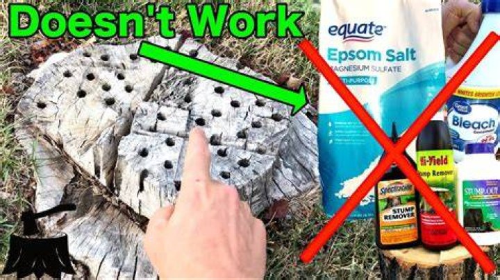 Does Epsom salt rot tree stumps?