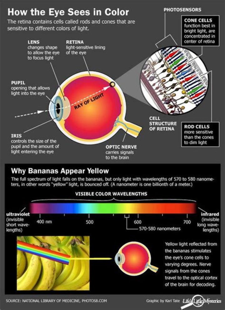 Does eye color Affect vision?