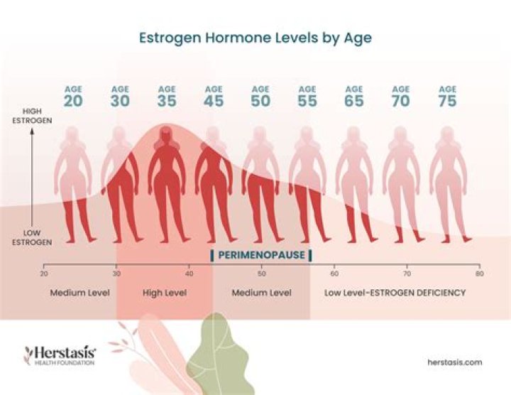 Does fennel increase estrogen?