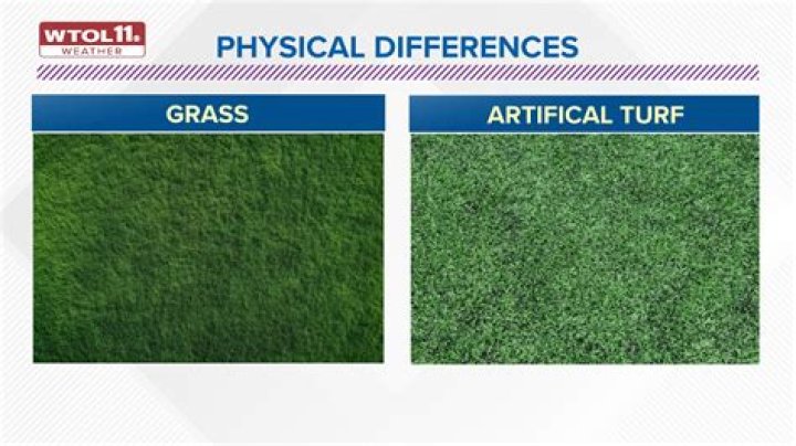 Does Green Bay play on real grass?