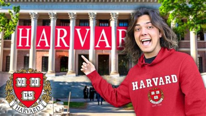 Does Harvard Look at mid-year report?
