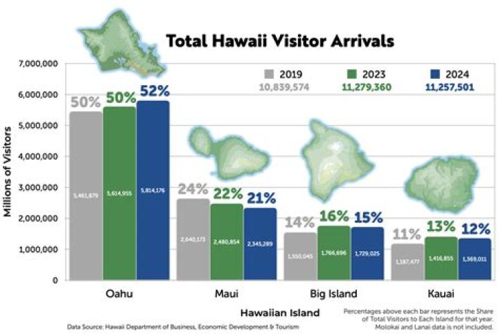 Does Hawaii have a martial art?
