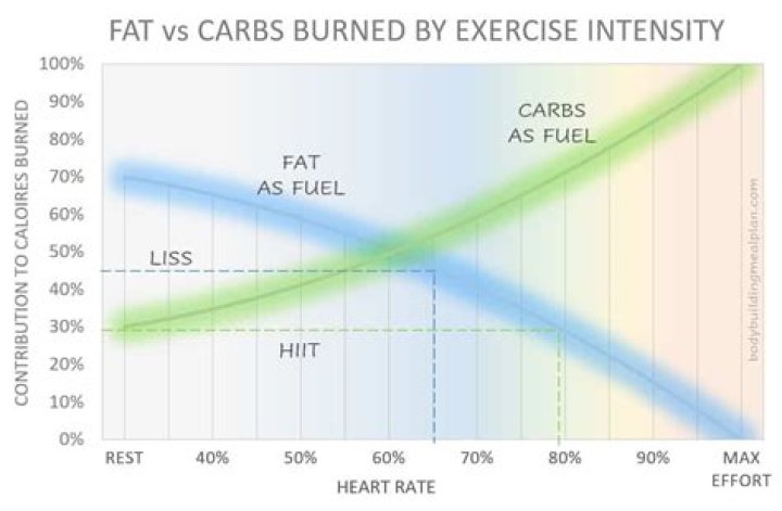 Does HIIT burn more fat than regular cardio?