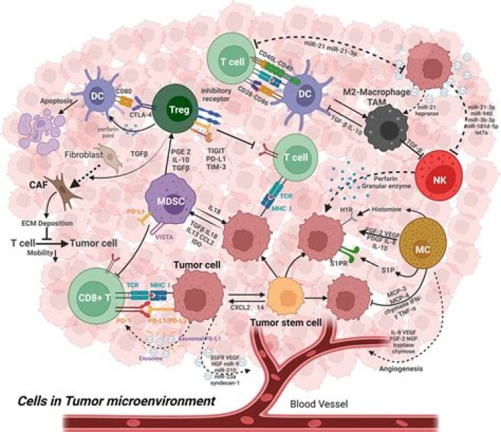 Does inflammation initiate tumour formation?