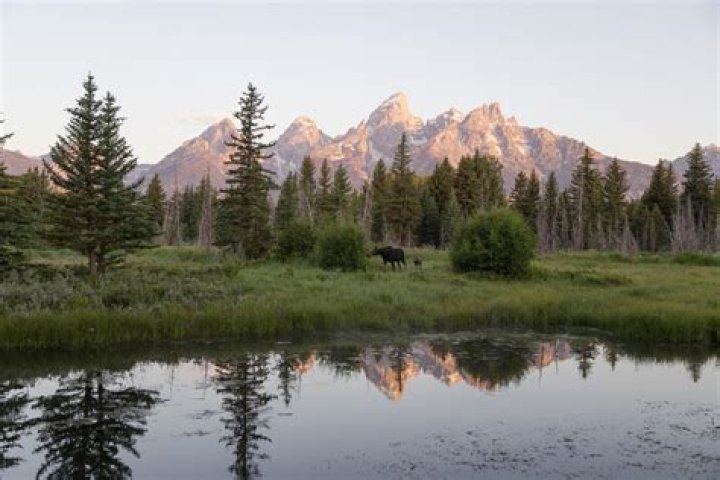 Does Jackson Hole get crowded?