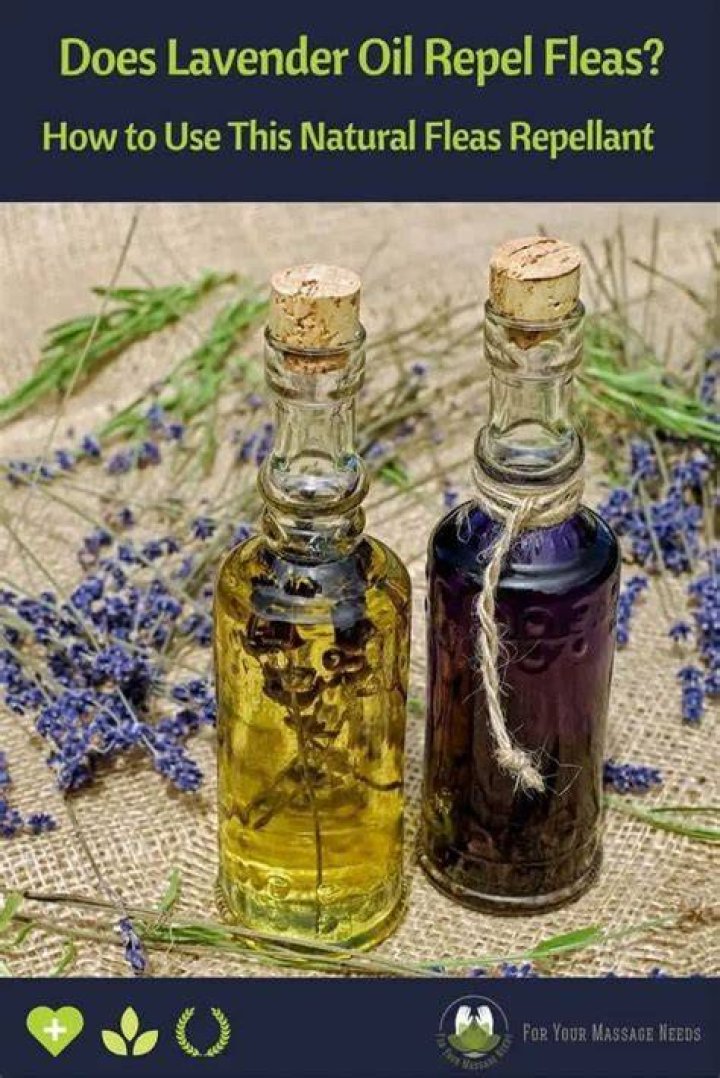 Does lavender oil repel bugs?