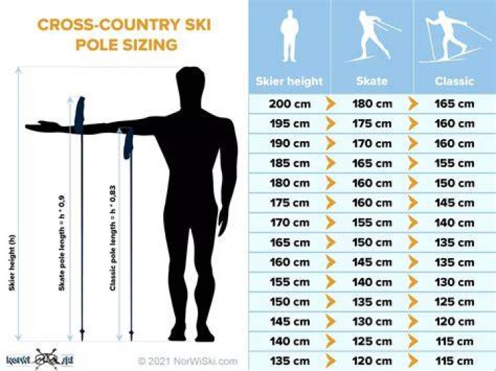 Does length of ski matter?