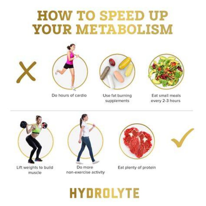 Does muscle speed up metabolism?