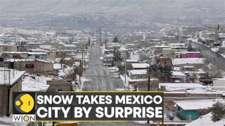 Does New Mexico get snow?