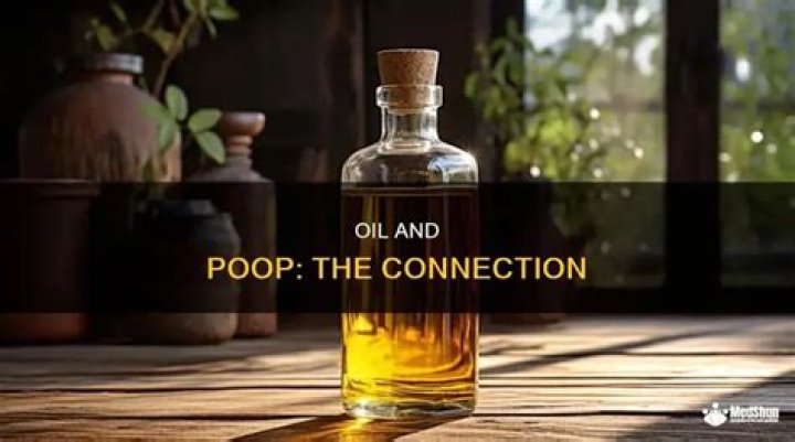 Does oil make you poop?