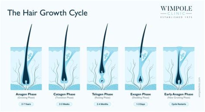Does Omega 7 grow hair?
