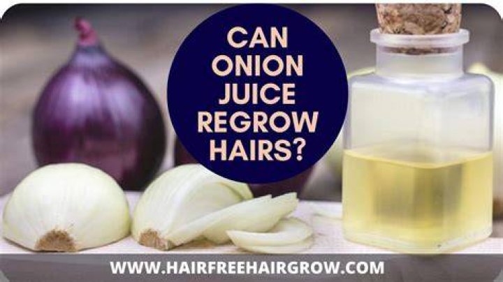 Does onion juice regrow hair?