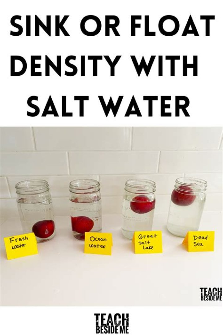 Does pen float or sink in water?