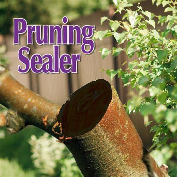 Does pruning seal stop growth?