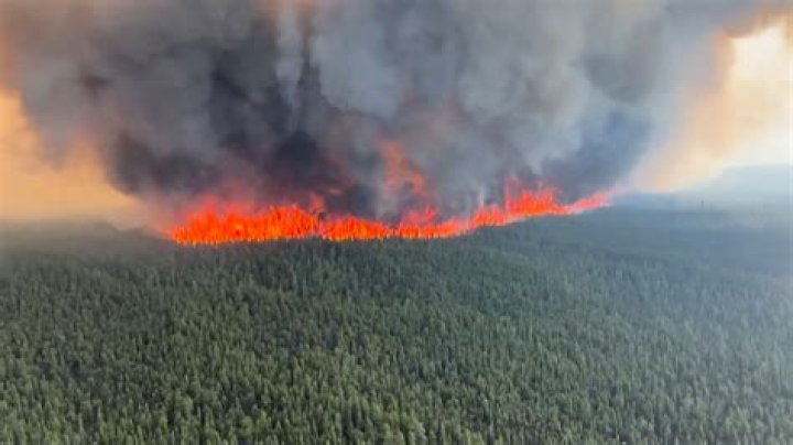 Does rain put out Forestfires?