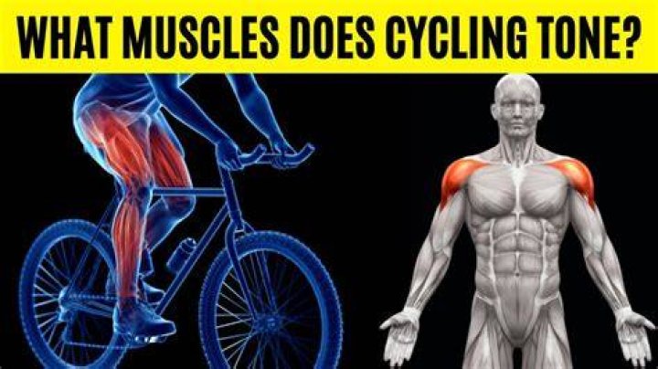 Does riding a bike tone your arms?