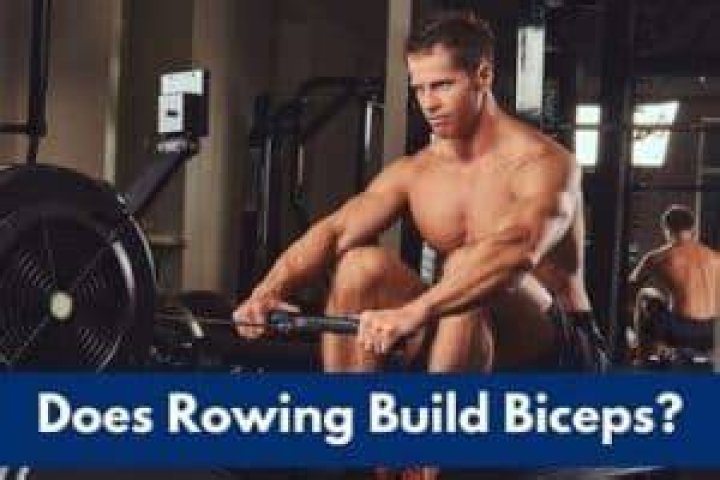 Does rowing build biceps?