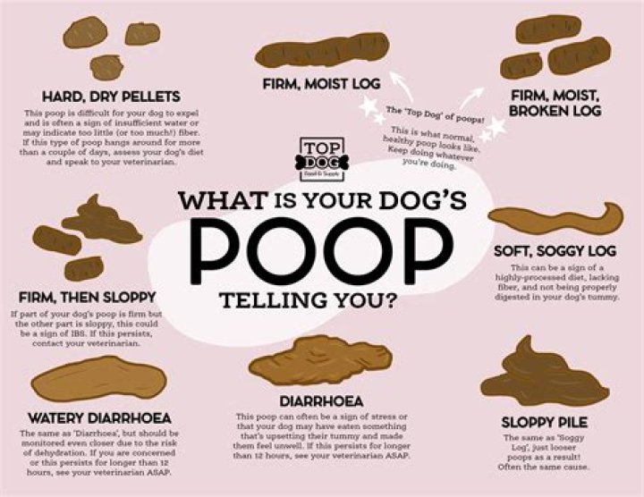 Does rubbing your hands together help you poop?