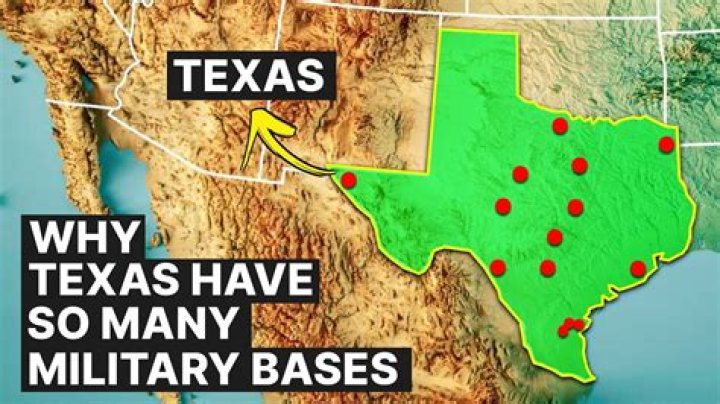 Does Texas have a state defense force?