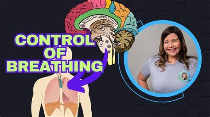 Does the brain control the rate of breathing?