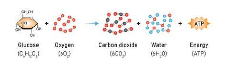 Does tidal energy produce carbon dioxide?