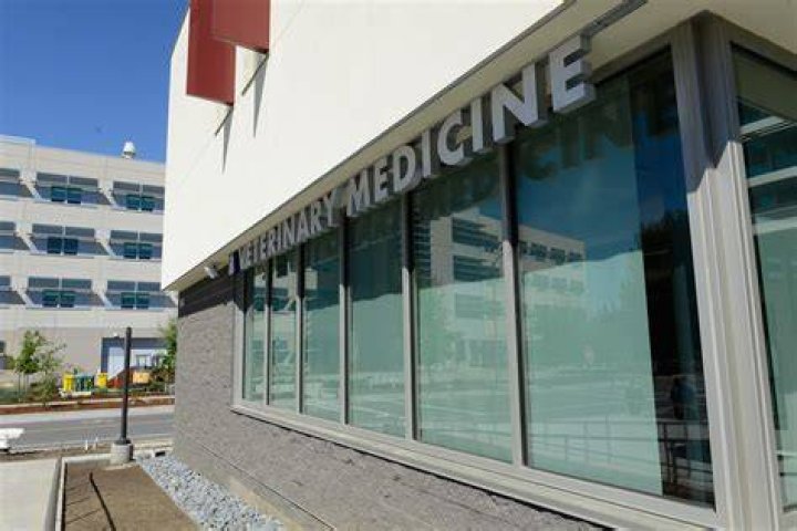 Does UC Davis offer veterinary programs?