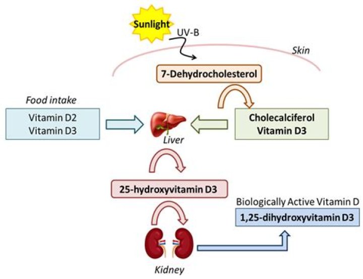 Does Vit D help Parkinson's?