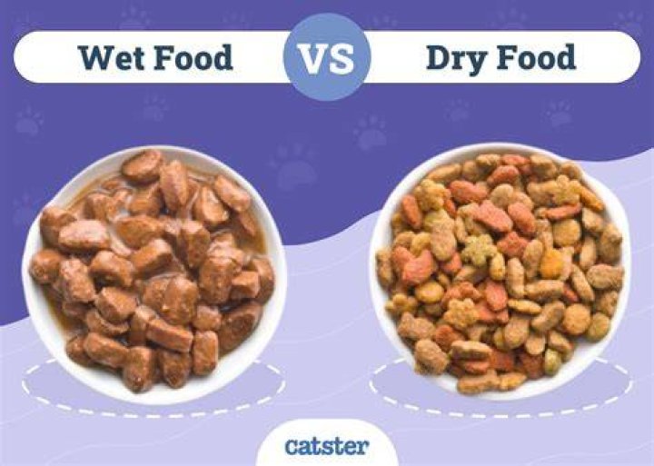 Does wet cat food hydrate cats?