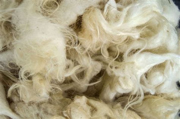 Does wool trap heat?