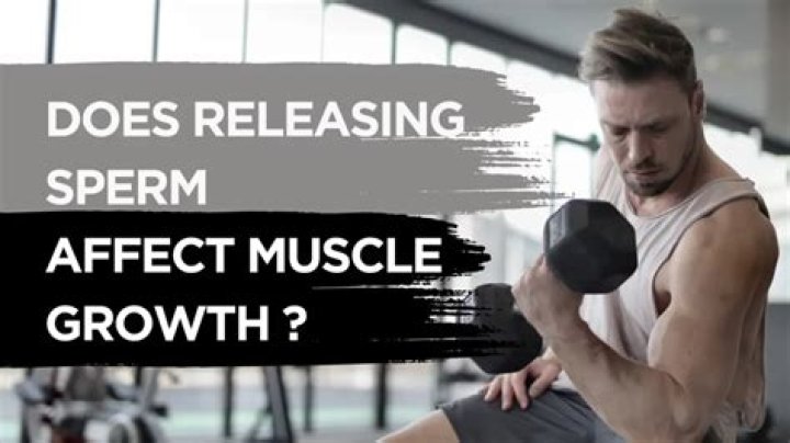 Does work out morning or evening affect muscle growth?