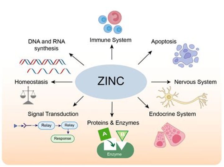 Does zinc draw out infection?