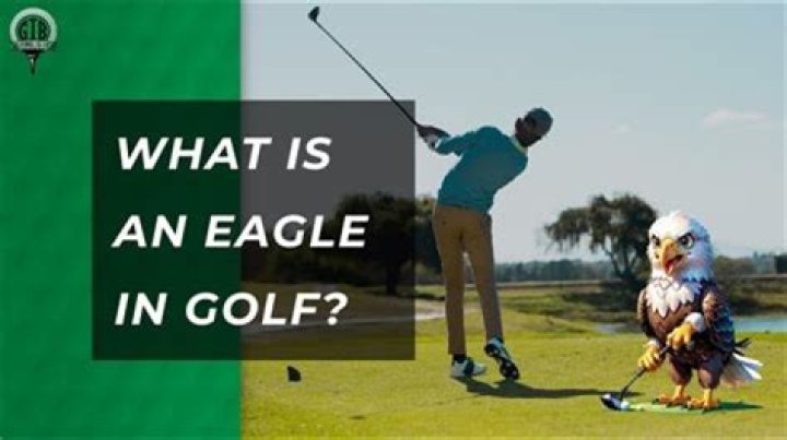 Has anyone shot a double eagle in golf?