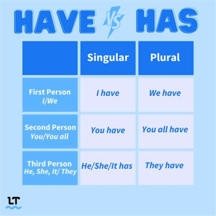 Has or have plural?
