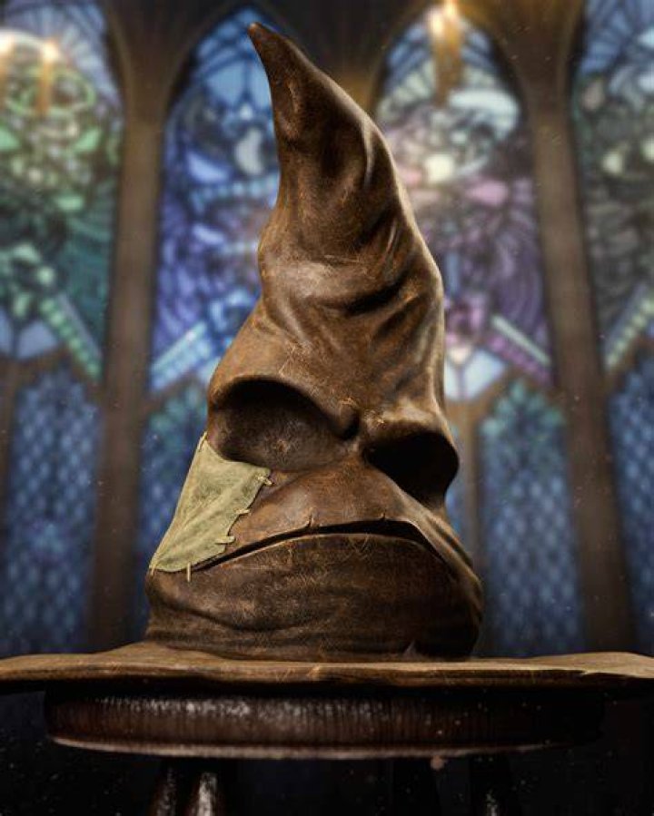 Has the Sorting Hat been wrong?