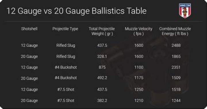 How accurate is a 12-gauge slug at 100 yards?