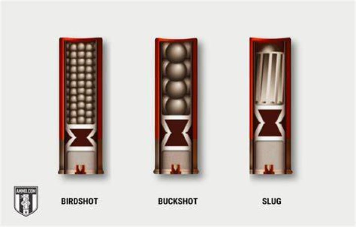 How accurate is a shotgun slug at 100 yards?