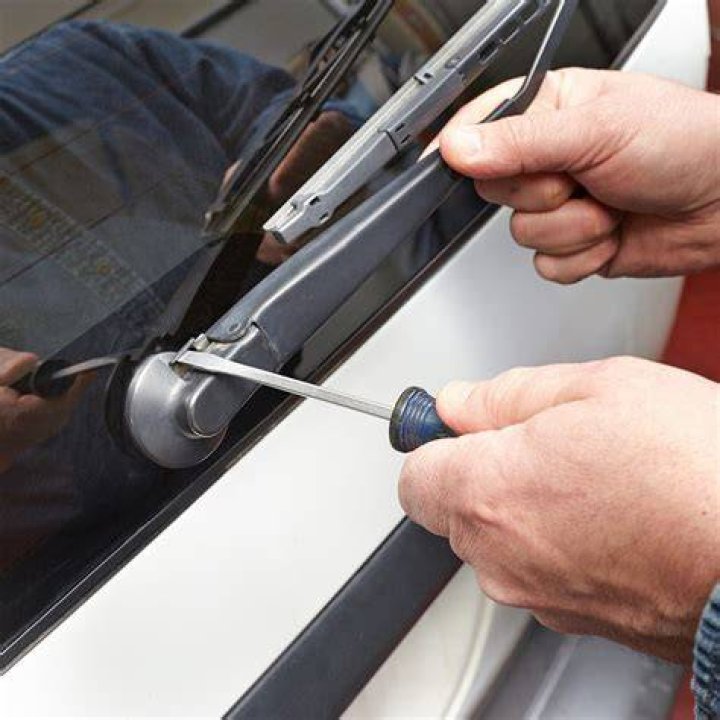 How big do wiper get?
