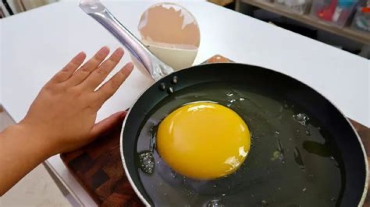 How big is a fried ostrich egg?