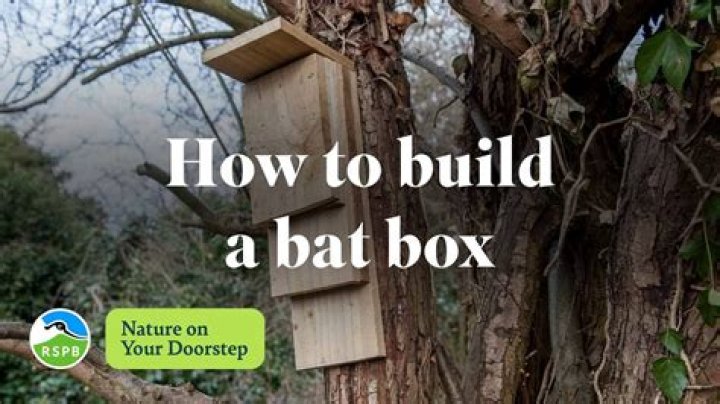 How big should a bat box be?