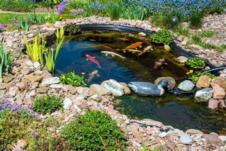 How big should a catfish pond be?