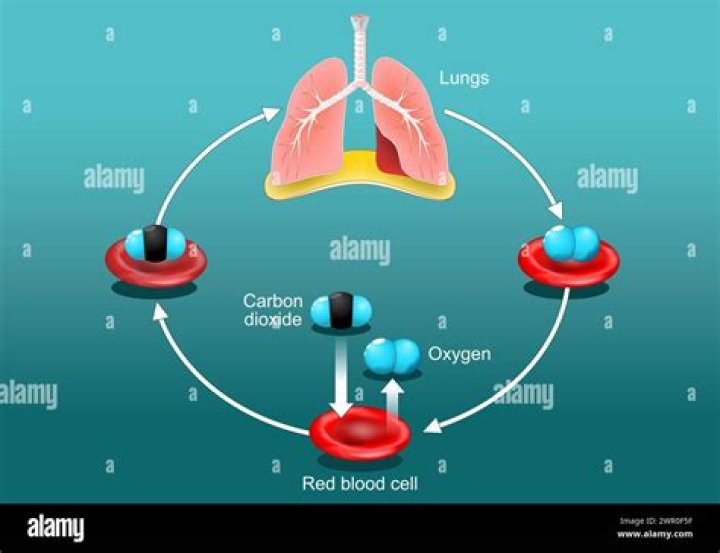 How can I get more oxygen?