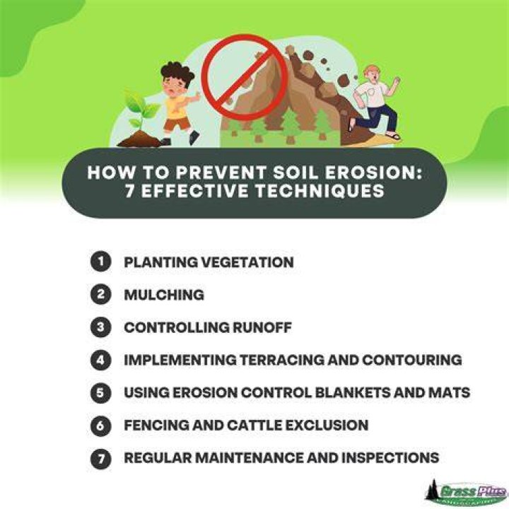 How can we prevent mass wasting?