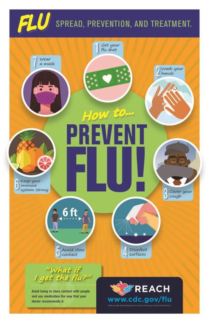 How can you prevent equine influenza?